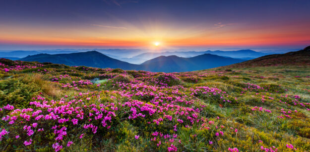 shutterstock_128478617
